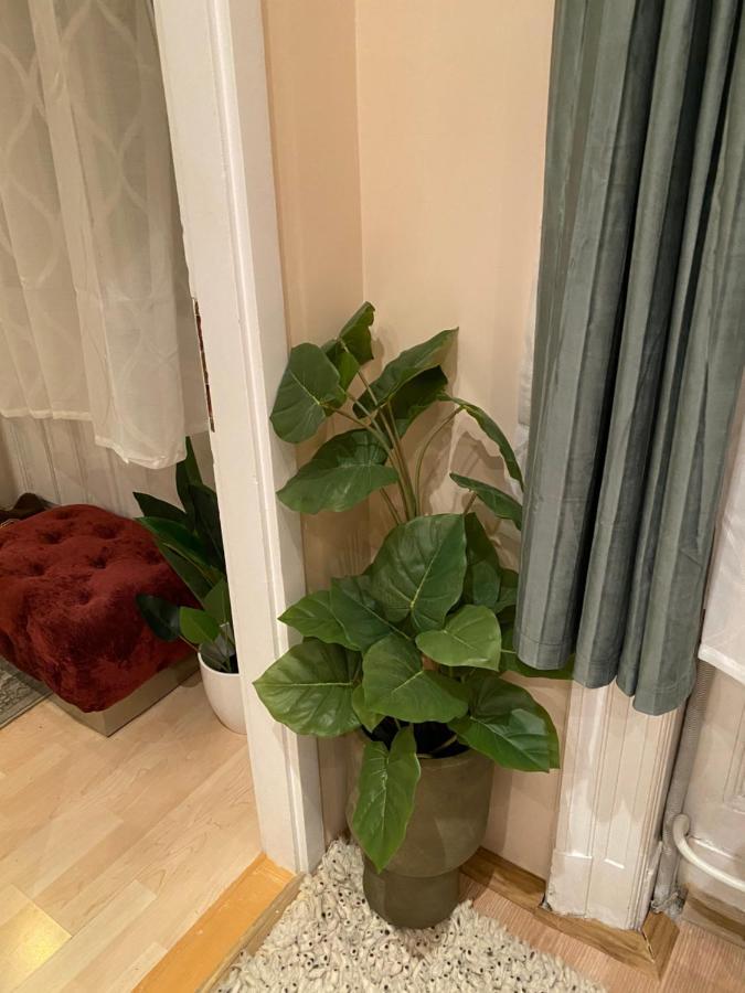 Jungle Story Apartment By Millenaris Park With Free Parking Budapest Eksteriør bilde